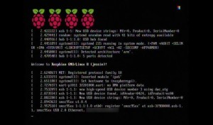 fldigi-pi-03_raspbian_configuration-01_initial_boot