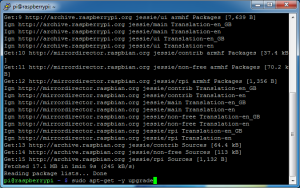 fldigi-pi-05_update_raspbian-04_apt-get_upgrade