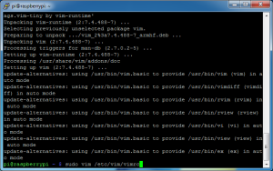 fldigi-pi-05_update_raspbian-06_edit_vimrc