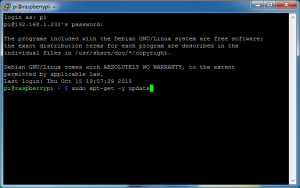 fldigi-pi-06_vnc-01_apt-get_update