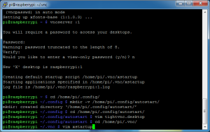 fldigi-pi-06_vnc-05_xstartup