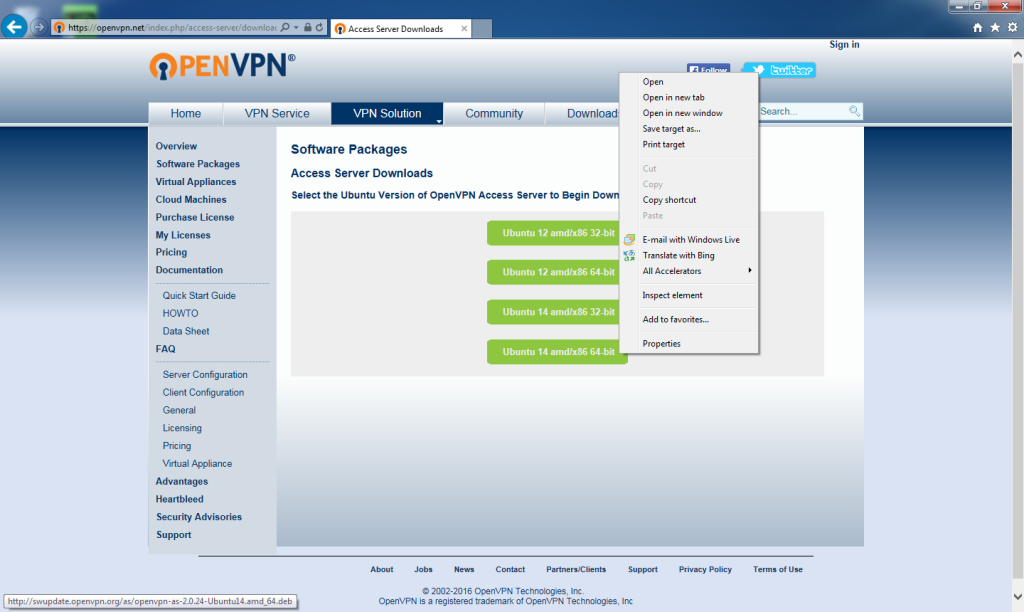 openvpn_access_server_bridge-01_bridge_server-03_openvpn_access_server_website_downloads