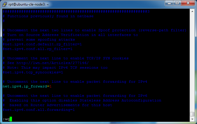 openvpn_access_server_bridge-02_remote_gateway-13_configuration-02_ip_forward