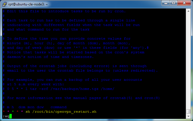 openvpn_access_server_bridge-02_remote_gateway-22_configuration-11_crontab